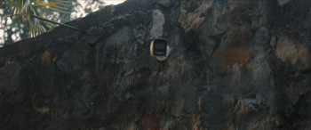 Raat Akeli Hai: The Bansal Murders (2025) download