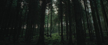 Rabbit Trap (2025) download