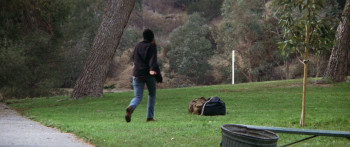 Rafferty and the Gold Dust Twins (1975) download