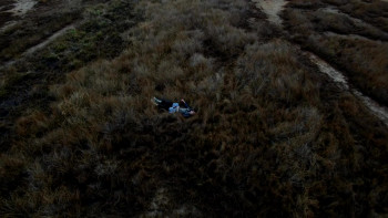 Raging Phoenix (2009) download