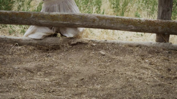 Raising the Bar: The Alma Richards Story (2025) download