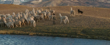 Raíz (2024) download