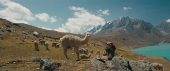 Raíz (2024) download