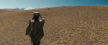 Raíz (2024) download