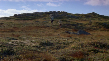 Rare Birds (2001) download