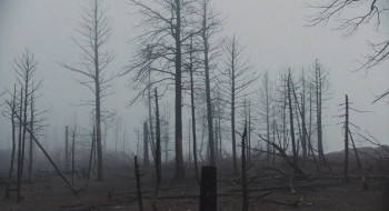 Rebuilding (2025) download