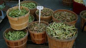 Recipe for Romance (2025) download