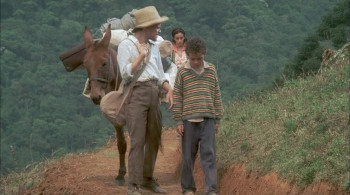 Tapete Vermelho (2005) download