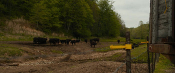 Red Right Hand (2024) download