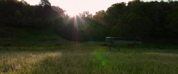 Red Right Hand (2024) download