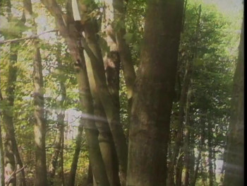 Redneck Zombies (1987) download