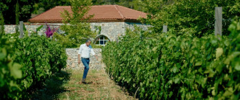 Regardless (2023) download