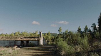 Remains of the Wind (2022) download