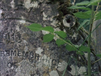 Requiem for a Village (1975) download