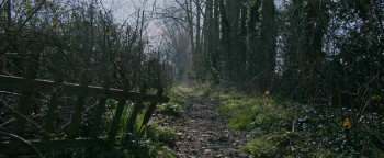 Return of Krampus (2022) download