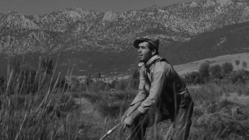 Revenge of the Snakes (1962) download