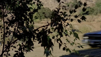 RiffTrax Live: Samurai Cop (2017) download