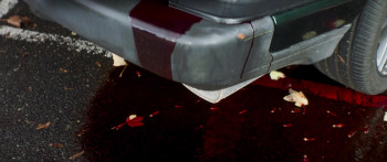 Rise of the Footsoldier: Vengeance (2023) download