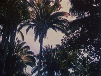 Robinson Crusoe (1954) download