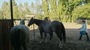 Romance at Hope Ranch (2026) download