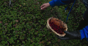 Sacred Alaska (2023) download