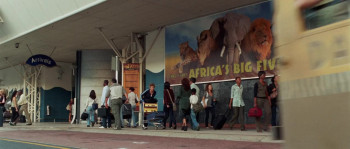 Safari (2009) download