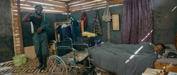 Safari (2022) download