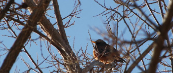 Safe House 1618 (2021) download