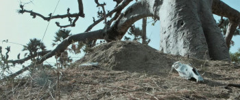 Saloum (2021) download