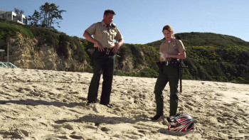 Sand Sharks (2012) download