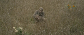 Sasquatch Sunset (2024) download