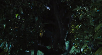 Sauvage (2010) download