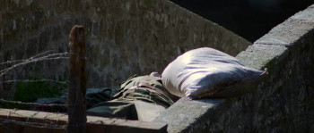 Savior (1998) download