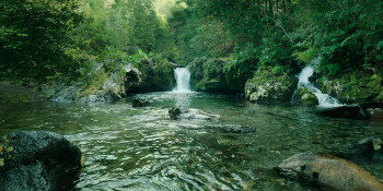 Sayen (2023) download