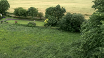 School Life (2016) download