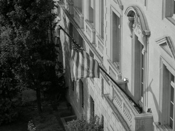 Schultze Gets the Blues (2003) download