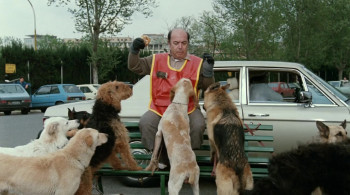 School of Thieves (1986) download