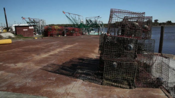 Sea of Sorrow - Sea of Hope (2018) download