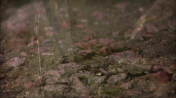 Secret of Water (2015) download