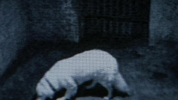 Seed (2006) download