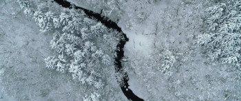 Seven Secretaries: The Movie (2022) download