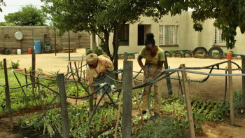 Shaina (2020) download