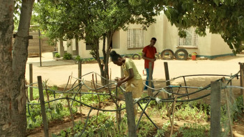 Shaina (2020) download