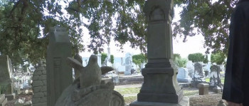 Shark Exorcist (2014) download