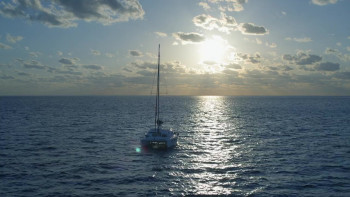 Shark Superpower (2022) download