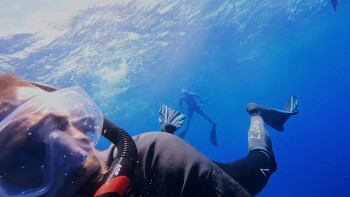 Sharkcano: Hawaii (2023) download