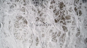 Shorebreak: The Clark Little Story (2016) download