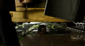 Show Dogs (2018) download