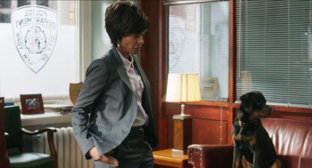 Show Dogs (2018) download