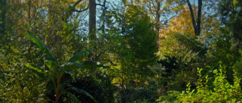 Silent Murmur (2025) download